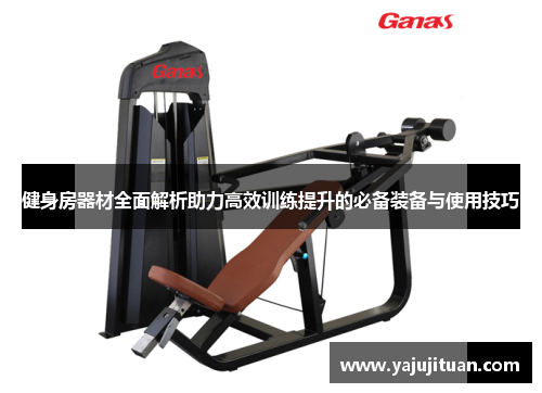 健身房器材全面解析助力高效训练提升的必备装备与使用技巧