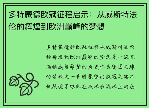 多特蒙德欧冠征程启示：从威斯特法伦的辉煌到欧洲巅峰的梦想