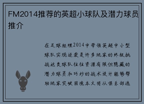 FM2014推荐的英超小球队及潜力球员推介