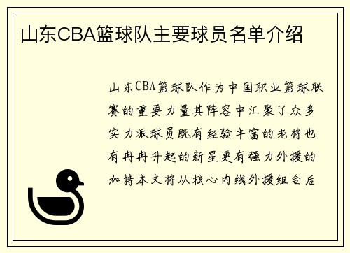 山东CBA篮球队主要球员名单介绍