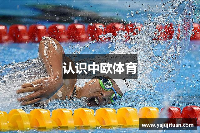 认识中欧体育